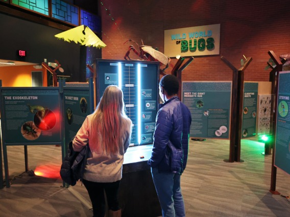A couple plays an educational light game inside Flandrau Science Center