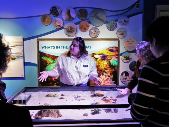 Instructor at touch tank flandrau