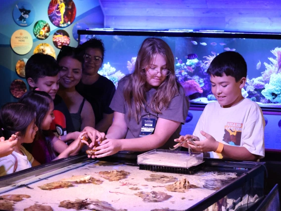 Family at intertidal touch tank experience at undersea discovery exhibit at flandrau