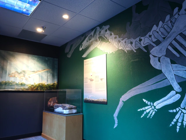 fossil mural