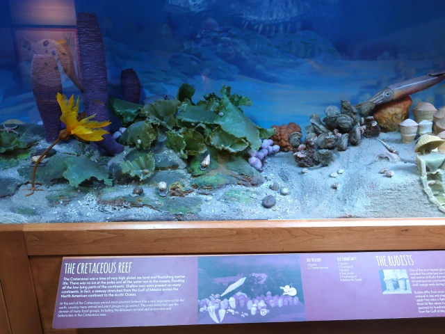 fossil corner reef 3