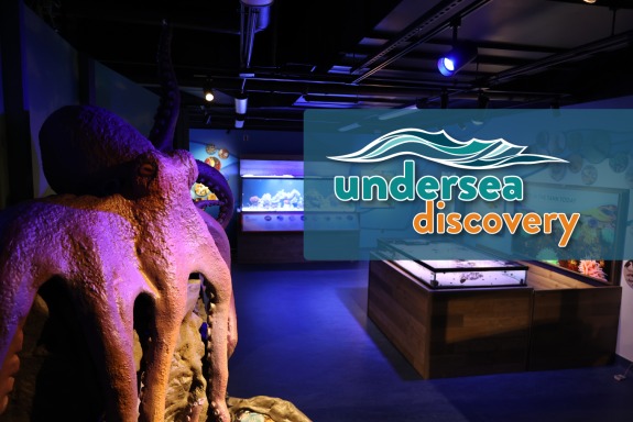 Undersea Discovery at Flandrau in Tucson