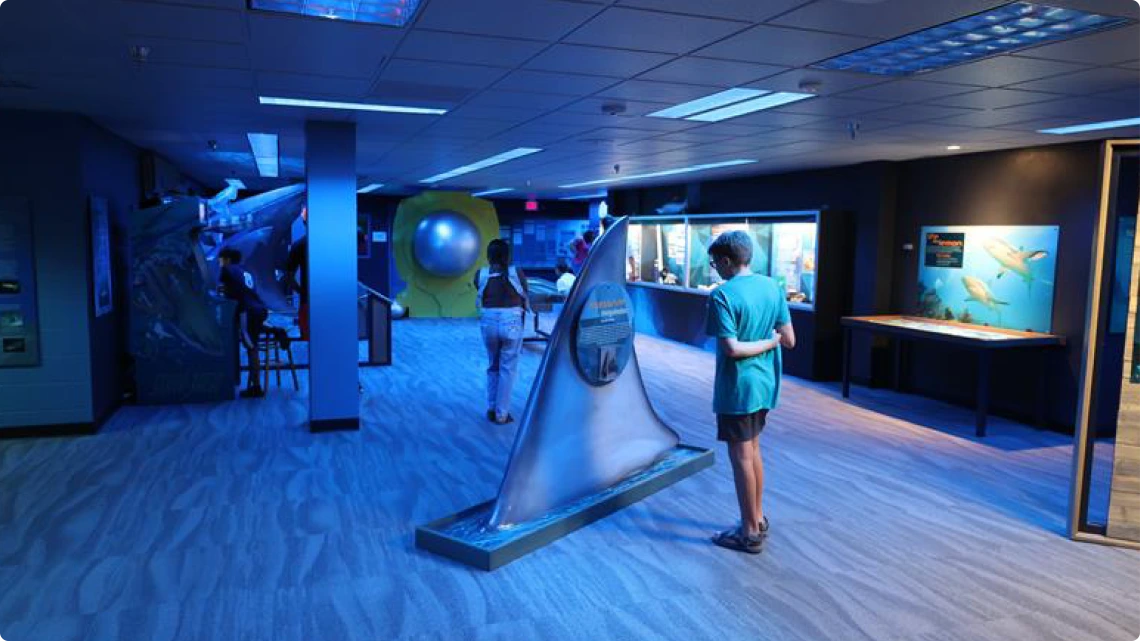 sharks 16 x 9 rounded edge