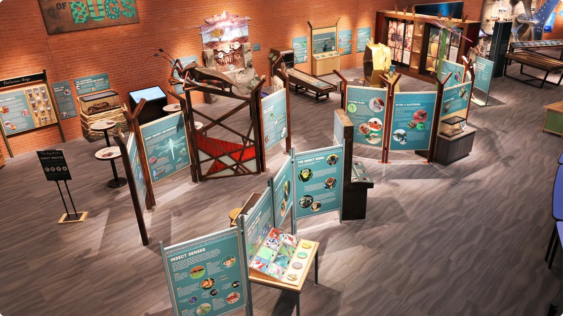 wild world of bugs 16x9 rounded edge