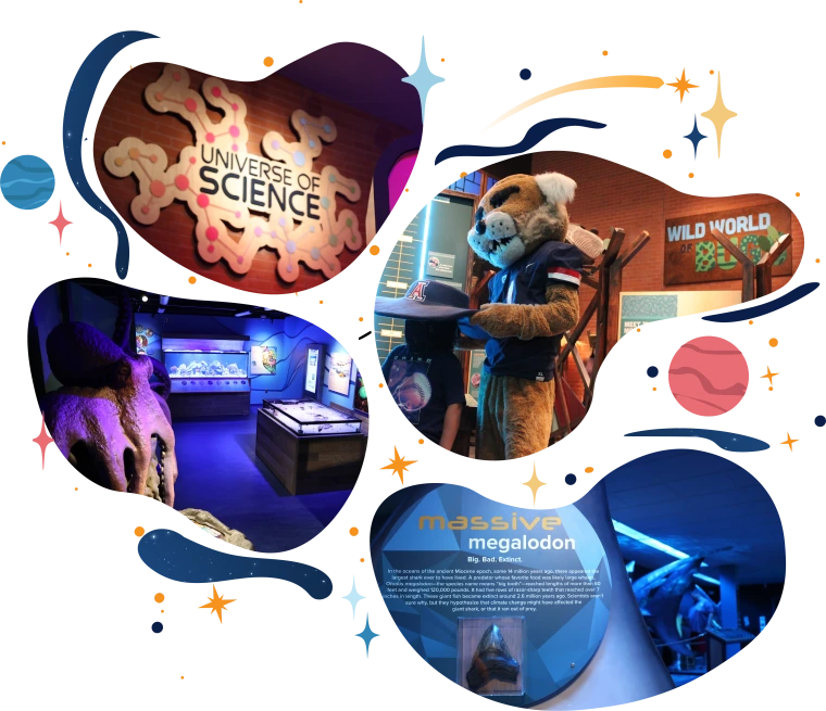 exhibits graphic