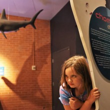 Child in Sharks Exhibit at Flandrau